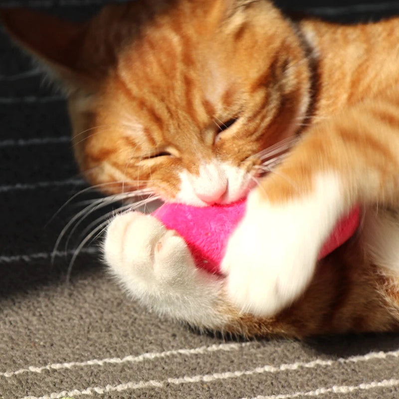 Catnip Toys - Purr-fect Picks