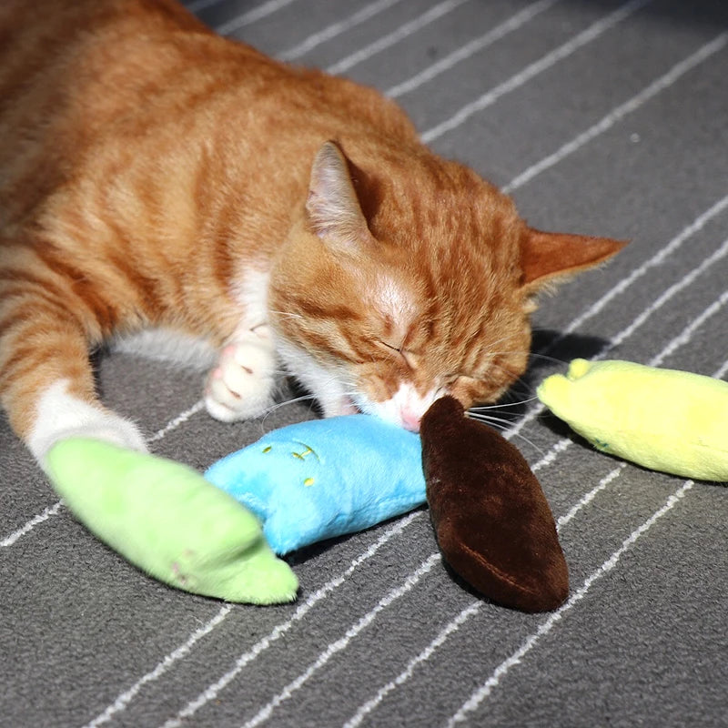 Catnip Toys - Purr-fect Picks