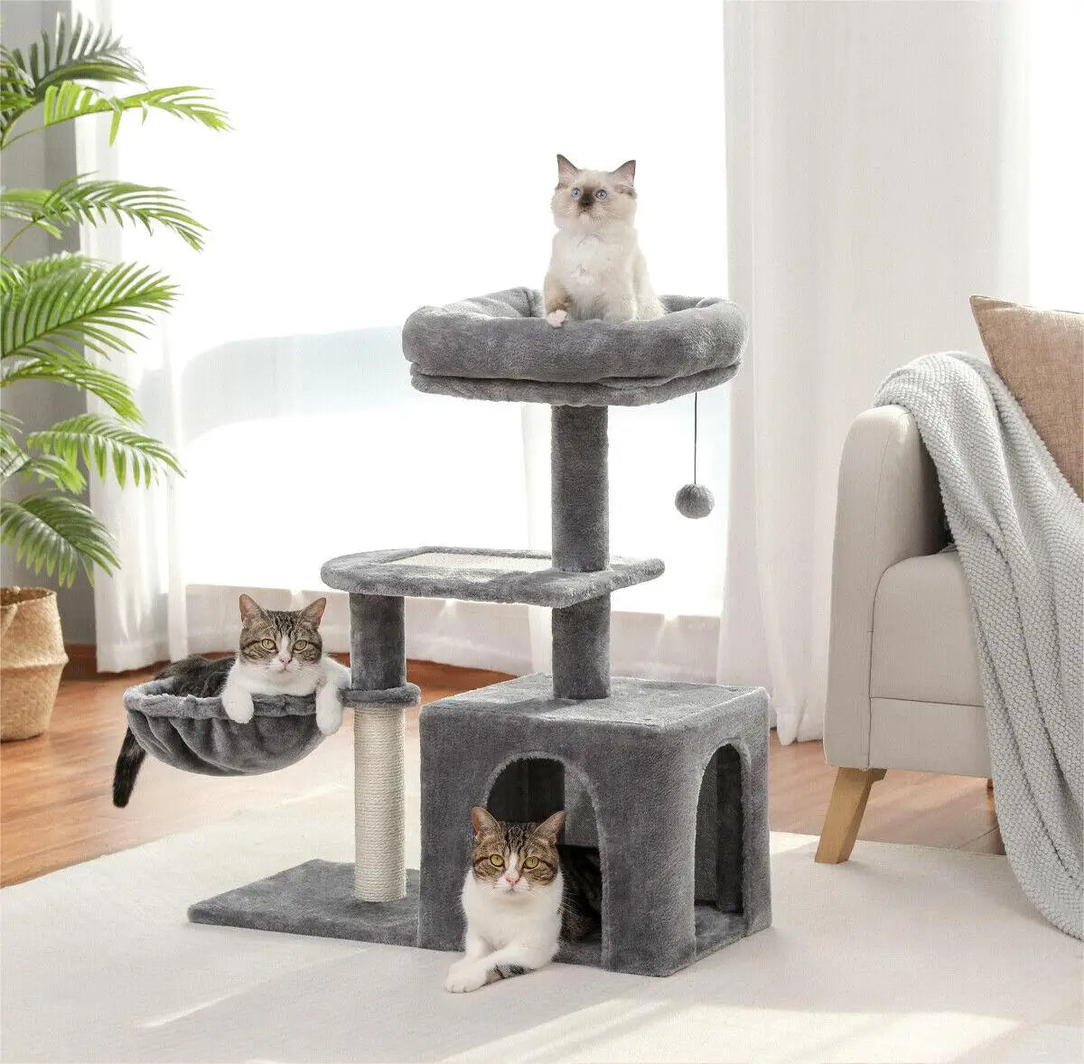 Small Cat Tree With Condo - Purr-fect Picks