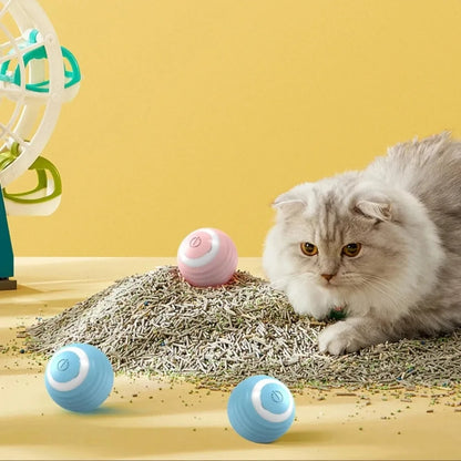 Interactive Cat Toy Ball - Purr-fect Picks