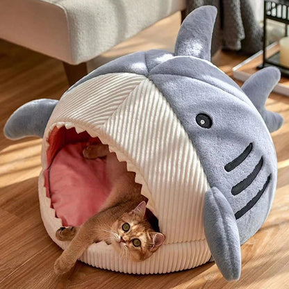 Shark Cat Cave