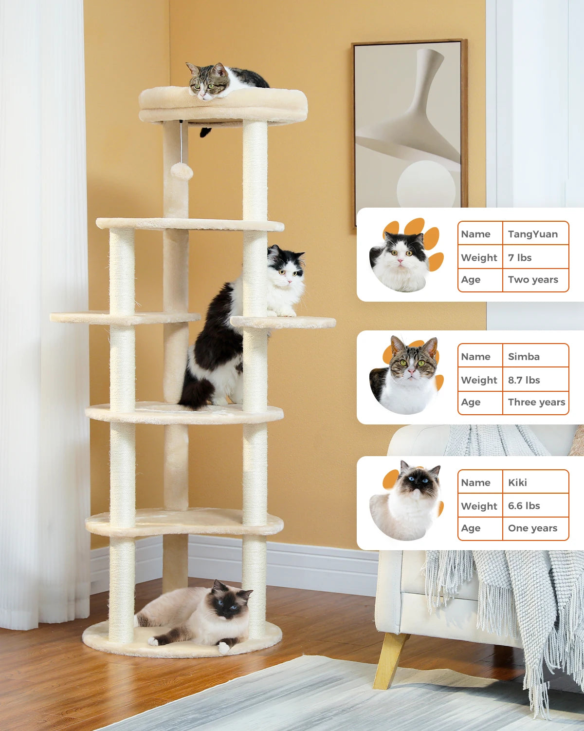 Multi Level Cat Tree - Purr-fect Picks