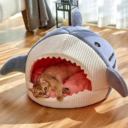 Shark Cat Cave