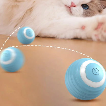 Interactive Cat Toy Ball - Purr-fect Picks