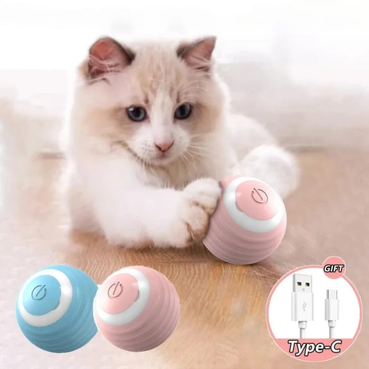 Interactive Cat Toy Ball - Purr-fect Picks