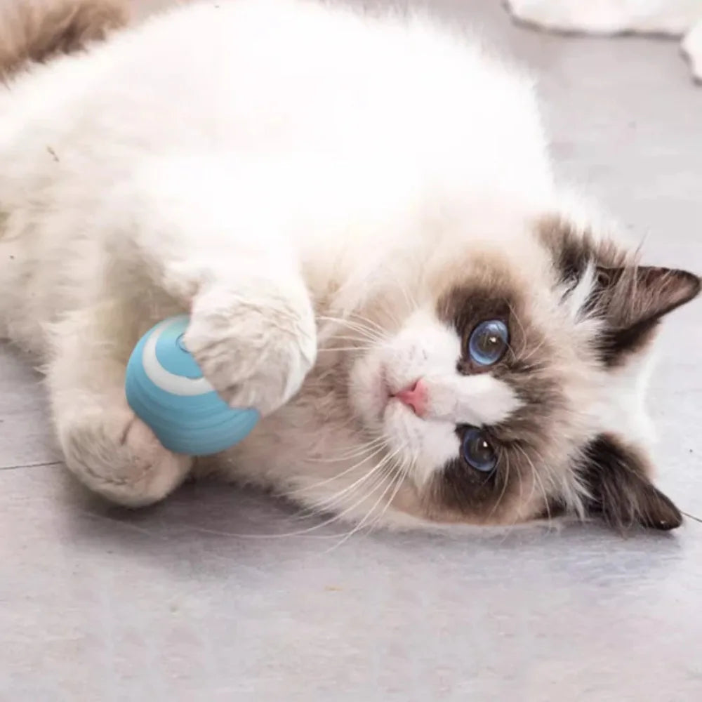 Interactive Cat Toy Ball - Purr-fect Picks