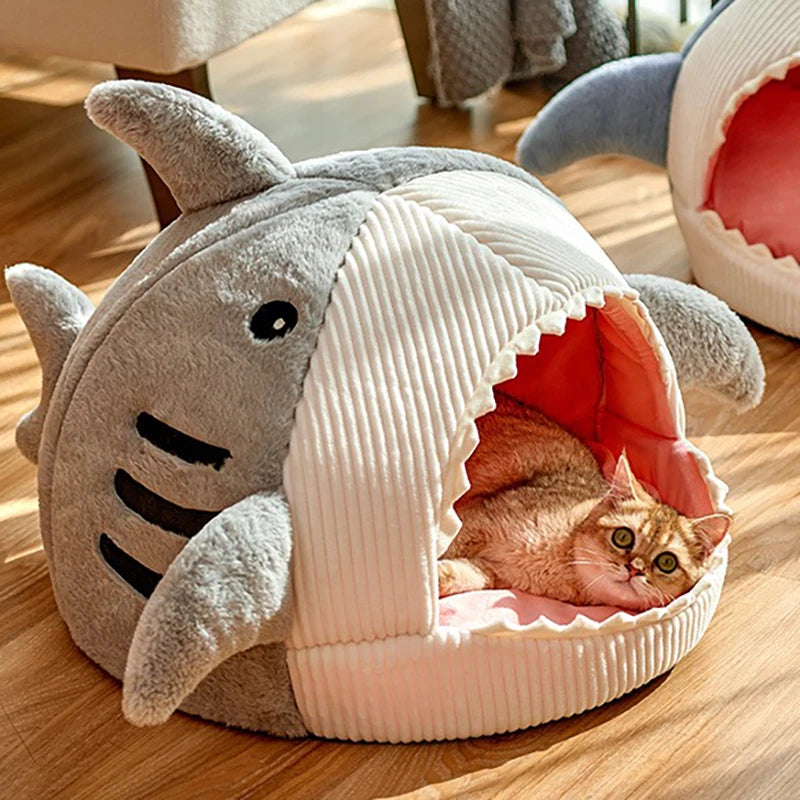 Shark Cat Cave