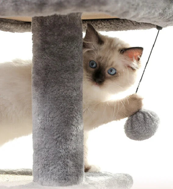 Small Cat Tree With Condo - Purr-fect Picks