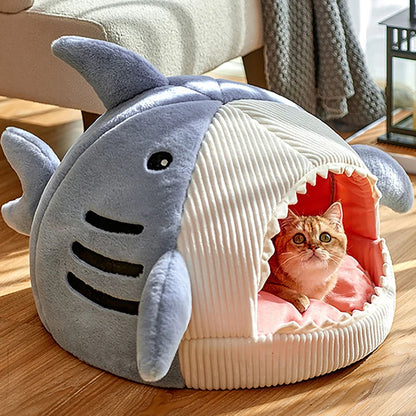 Shark Cat Cave