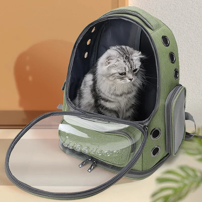 Clear cat backpack best sale