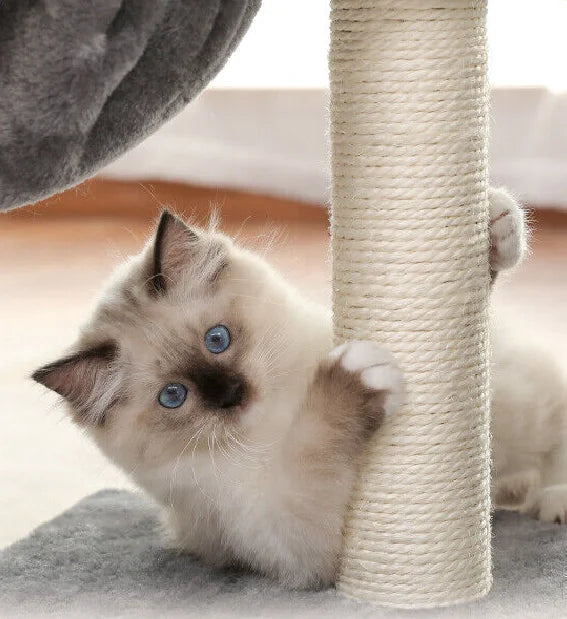 Small Cat Tree With Condo - Purr-fect Picks